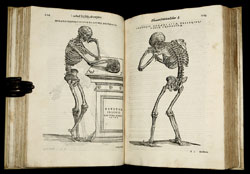 traite_anatomie_andre_vesale_250.jpg